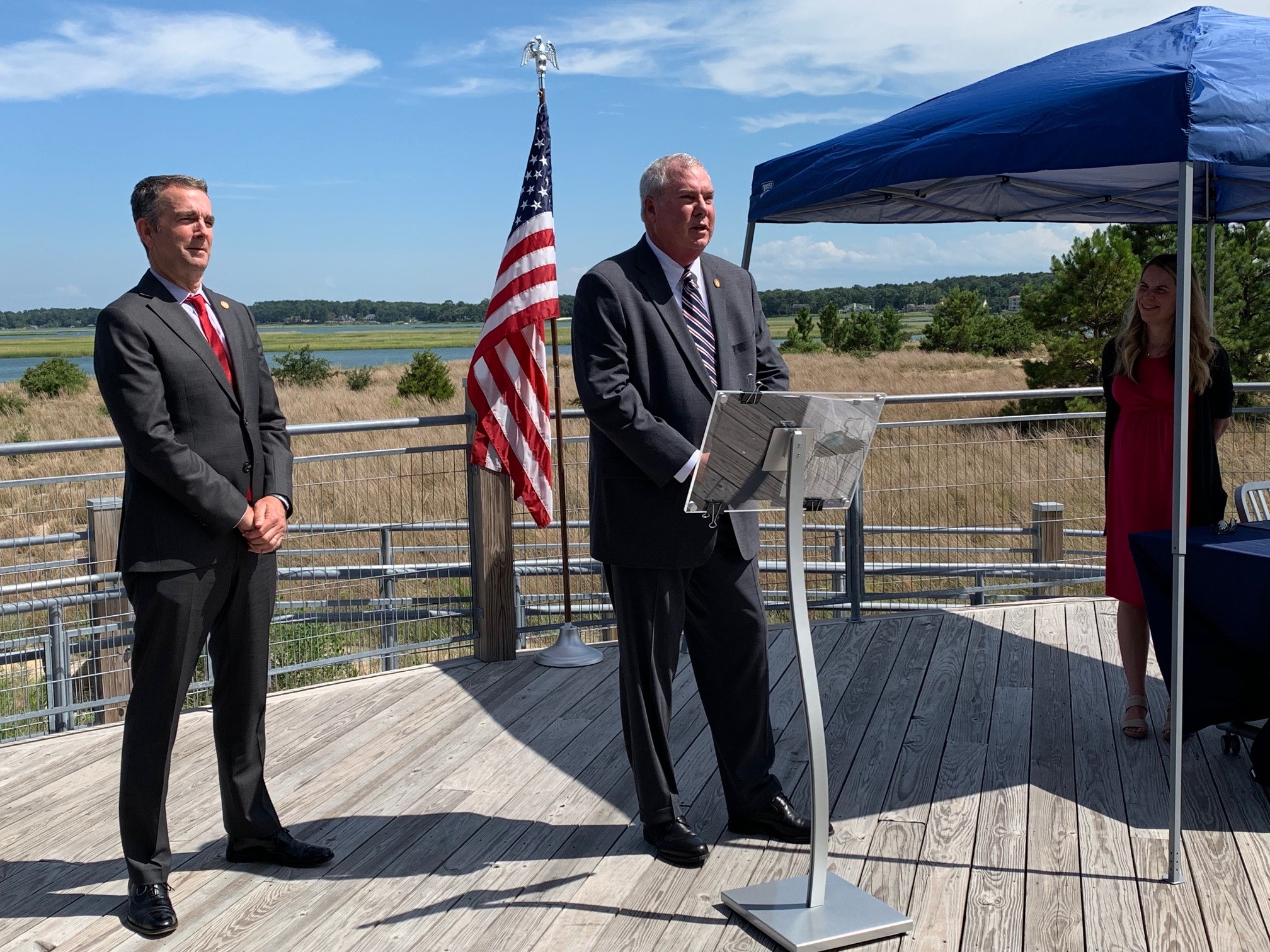 الحاكم & المفوض