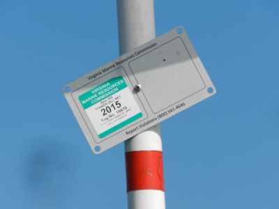 مرفق الشبكة الخيشومية 2