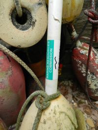 مرفق الشبكة الخيشومية 3