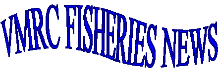 أخبار مصايد الأسماك في مركز بحوث مصايد الأسماك