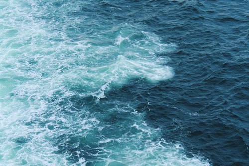 اهتمامات أخرى