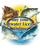 شراء التراخيص الاسترجاعية