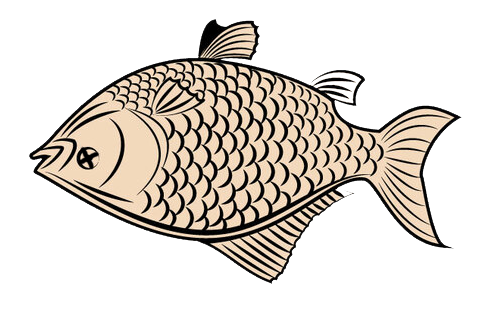 السمك النافق