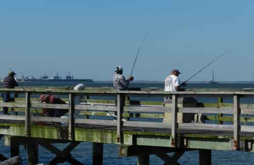 صيد الأسماك في المياه المالحة