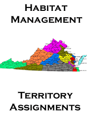 التعيينات الإقليمية