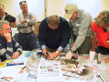 وسم أسماك الصيد 8