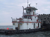 صورة لشعاب Poquoson المرجانية 1