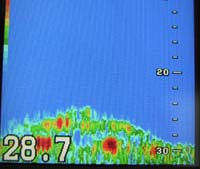 شاشة مقياس الطول