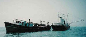 أمير السلام 2