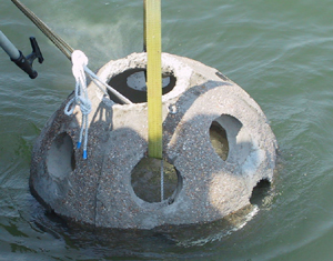 كرة الشعاب المرجانية الخرسانية