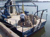 نشر كرة الشعاب المرجانية الخرسانية