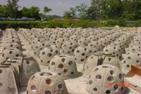 كرات الشعاب المرجانية الخرسانية