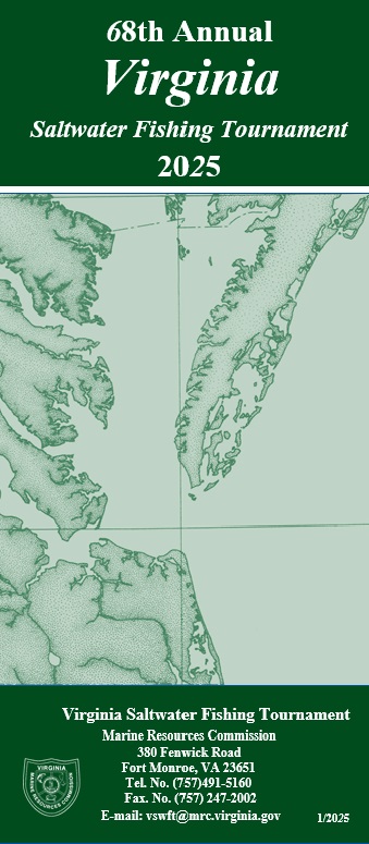 2025 غلاف كتيب vswft