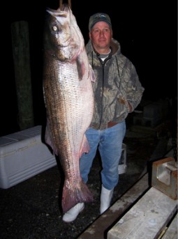 سجل ستيبر 1-2- -05